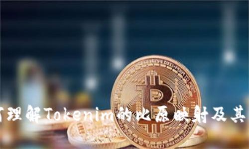 如何理解Tokenim的比原映射及其应用