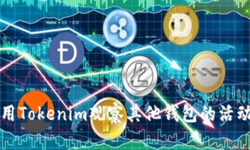 如何使用Tokenim观察其他钱包的活动与资产
