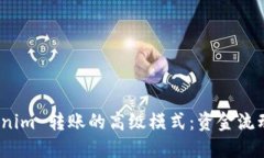 使用 Tokenim 转账的高级模式：资金流动与安全性