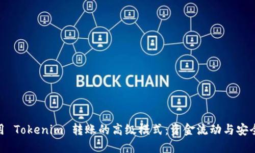 使用 Tokenim 转账的高级模式：资金流动与安全性
