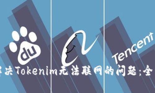 如何解决Tokenim无法联网的问题：全面指南