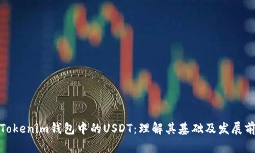 : Tokenim钱包中的USDT：理解其基础及发展前景