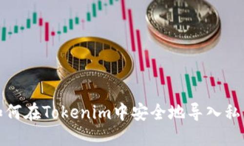 如何在Tokenim中安全地导入私钥