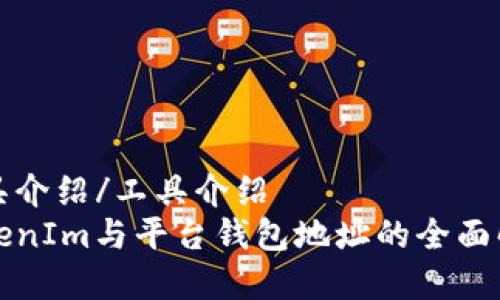 工具介绍/工具介绍  
TokenIm与平台钱包地址的全面解析