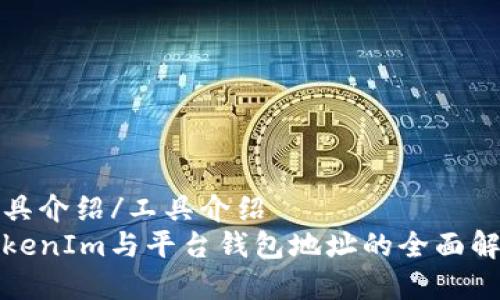 工具介绍/工具介绍  
TokenIm与平台钱包地址的全面解析