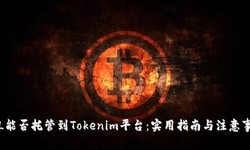 FIL能否托管到Tokenim平台：实用指南与注意事项