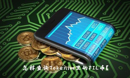 怎样查询Tokenim里的FIL币？