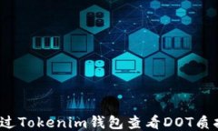 如何通过Tokenim钱包查看DOT质押收益？