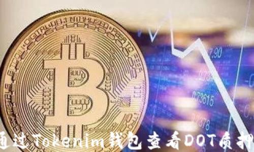 
如何通过Tokenim钱包查看DOT质押收益？