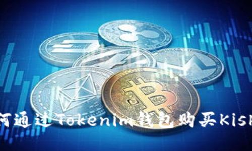 : 如何通过Tokenim钱包购买Kishu币？
