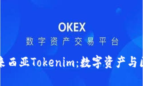 深度了解马来西亚Tokenim：数字资产与区块链的未来