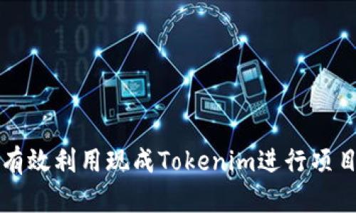 如何有效利用现成Tokenim进行项目开发