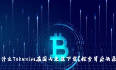 为什么Tokenim在国内无法下载？探索背后的原因