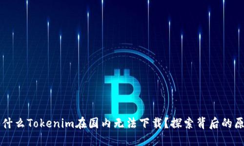 为什么Tokenim在国内无法下载？探索背后的原因