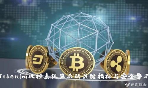 Tokenim风控系统显示的关键指标与安全警示