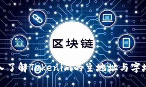 深入了解Tokenim的主地址与字地址