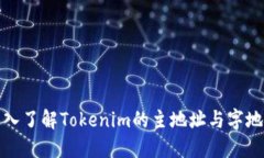 深入了解Tokenim的主地址与字地址