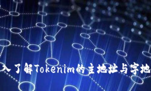 深入了解Tokenim的主地址与字地址