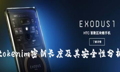 tokenim密钥长度及其安全性分析