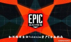 如何精准查询Tokenim资产？全面指南