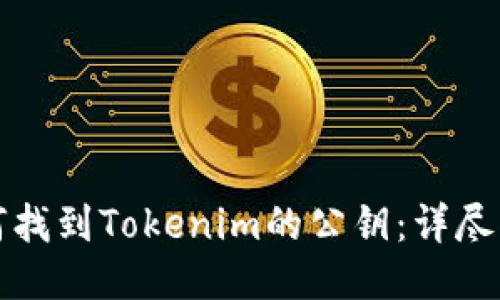 如何找到Tokenim的公钥：详尽指南