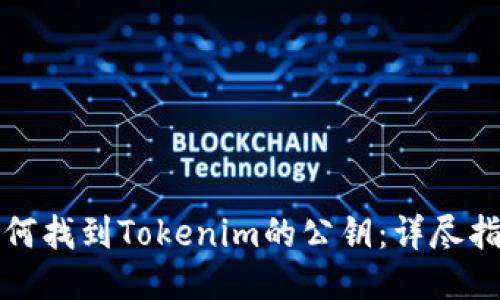 如何找到Tokenim的公钥：详尽指南