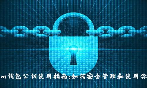 Tokenim钱包公钥使用指南：如何安全管理和使用你的公钥