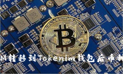 如何解决BTM转移到Tokenim钱包后币种丢失的问题