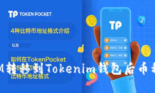 如何解决BTM转移到Tokenim钱包后币种丢失的问题