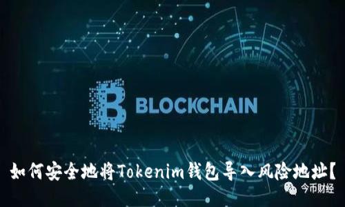 如何安全地将Tokenim钱包导入风险地址？