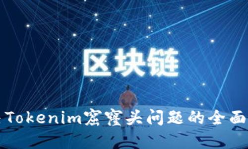 解决Tokenim窟窿头问题的全面指南
