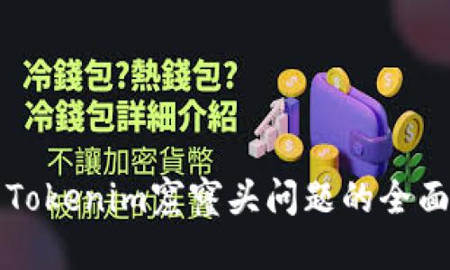解决Tokenim窟窿头问题的全面指南