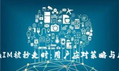 当TokenIM被秒走时：用户应对策略与风险管理