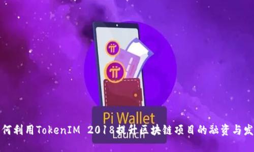 如何利用TokenIM 2018提升区块链项目的融资与发展