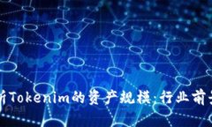 深入解析Tokenim的资产规模：行业前景与挑战
