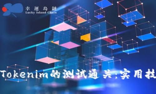 如何突破Tokenim的测试通关：实用技巧与攻略