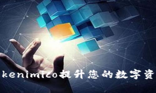 如何使用Tokenimico提升您的数字资产管理效率