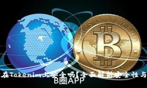 大额资金在Tokenim上安全吗？全面解析安全性与投资策略