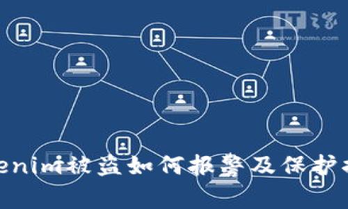 tokenim被盗如何报警及保护措施