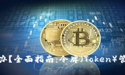 : 手机丢了怎么办？全面指南：令牌（Token）管理与防丢失保护