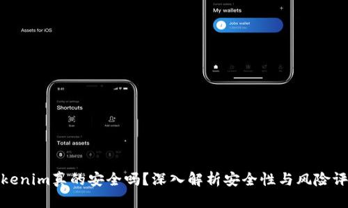Tokenim真的安全吗？深入解析安全性与风险评估