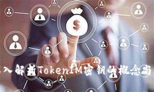 : 深入解析TokenIM密钥的概念与应用