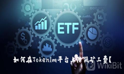 如何在Tokenim平台上降低矿工费？