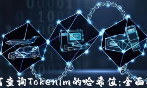 
如何查询Tokenim的哈希值：全面指南