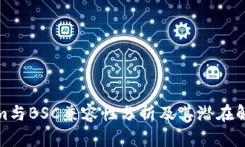 Tokenim与BSC兼容性分析及其潜在解决方案