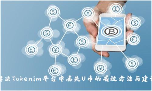 解决Tokenim平台中丢失U币的有效方法与建议