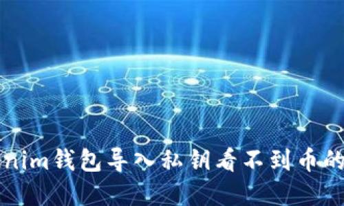 解决Tokenim钱包导入私钥看不到币的完整指南