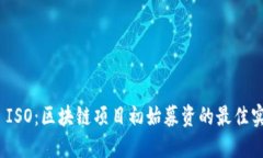 TokenIM ISO：区块链项目初始募资的最佳实践与指南