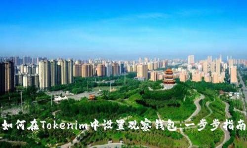 如何在Tokenim中设置观察钱包：一步步指南